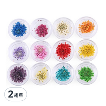 테네져 드라이생화 압화네일 12종 세트, 혼합색상, 2세트