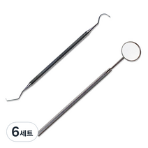 바다르산스 스텐 치석제거기 + 치경세트, 6세트