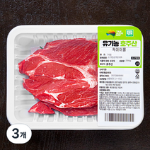 동원홈푸드 유기농 인증 척아이롤 구이용 (냉장), 200g, 3개