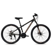 지오닉스스포츠 마젠타 370D MTB 자전거, 38.1cm, 블랙 + 브라운