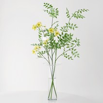 블루밍앤미 아카시아 flax 플라워 플레이트 화병 세트, 라이트 옐로우