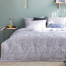 바니루이스 로렌스 간절기 이불