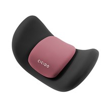 카템 CICIDO 투포인트 차량용 목쿠션 CT288, 핑크, 1개