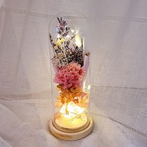 꽃이있는풍경 프리저브드 핑크 카네이션 led유리돔 대, 핑크(카네이션), 랜덤발송(주머니)