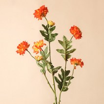 아이슬란드 데이지 조화 2p, 오렌지
