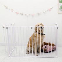 21세기트랜드 접이식 반자동 안전문 울타리 4p