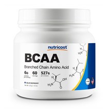 뉴트리코스트 BCAA 블루라즈베리맛, 527g, 1개