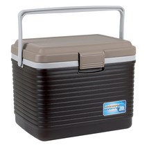 코스모스 레저용 아이스박스, 혼합색상, 20L