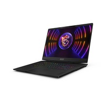 MSI 2023 스텔스 17, 1024GB, Free DOS, 코어 블랙, 코어i7, MSI 노트북 Stealth 17 Studio A13VH QHD, 16GB