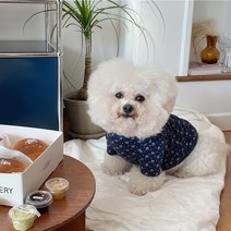 바이담수미 강아지 꽃내복 티셔츠, 네이비