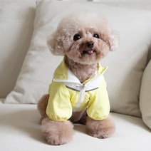 랜보어 반려동물 배색 라인 윈드브레이커, 옐로우