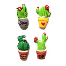 다다 홈 인테리어 선인장 냉장고 자석 4종 세트, 랜덤발송