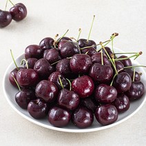 엠팍 캐나다산 체리, 500g, 1개