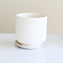 도시정원 모던 파스텔 줄무늬 도자기화분, 화이트