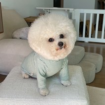 바이담수미 강아지 줄무늬스마일티셔츠, 그린