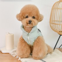 퍼피아 반려동물 코튼 조끼 하네스 패딩 점퍼 VT1937, 민트