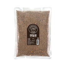 월드그린 싱싱 렌틸콩, 1개, 800g