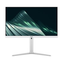 이그닉 비와이 24 일체형PC IG-BYA23803 (펜티엄골드-G6405 WIN11 Pro RAM 4GB NVMe 256GB), 기본형
