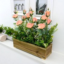 도시정원 조화 장미 울타리 화단, 살몬, 1개