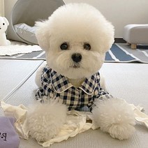 강아지 체크파자마 슬립웨어 잠옷, 네이비