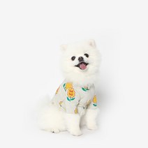 강아지수영복3xl 인기순위 가격정보