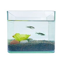 로라펫 미니 블랙소일 어항세트, 수초(랜덤발송)