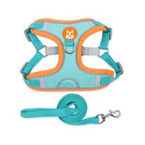 홈리미엄 웰시코기 닥스훈트 전용 하네스 L + 리드줄 세트, 블루, 1세트