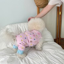 바이담수미 강아지 푸들 레이스 올인원, 핑크
