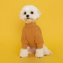 플로트 강아지 터틀넥 니트, 옐로우