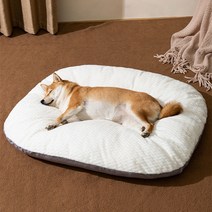 2dc543ff4f794ccebb19b5916aa3c827