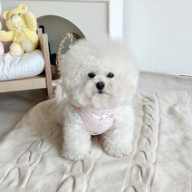 바이담수미 강아지 토깽이 누빔 조끼, 핑크