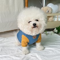 바이담수미 강아지 곰돌이 나그랑 티셔츠, 블루