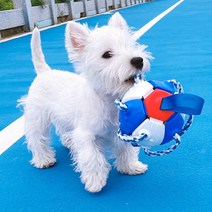 [대형견장난감공] 멍멍군나비양 강아지 프리스비 장난감 공, 블루 + 화이트, 1개