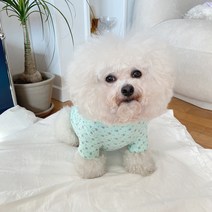 바이담수미 강아지 꽃내복 티셔츠, 민트