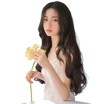 가발나라 여성용 반가발 걸스홀릭, 내츄럴블랙, 1개