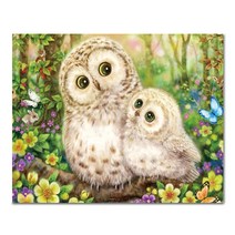 아디코 DIY 페인팅 일러스트 명화그리기 50 x 40 cm, 숲 속 러블리 부엉이(PEE07)