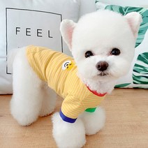 베이비도그 멀티줄가라티 DT038, 옐로우