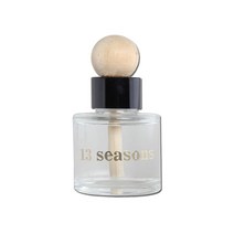 서틴시즌스 디퓨저 차량용 방향제 50ml, 1개, 바인 키위
