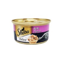 ATY 펫 고 참치사용 고영희용 젤리 습식캔 3개 영양만점, 기본