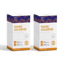 골드트리 락토페린 모로오렌지 120정 프랑스산 락토페린 모로오렌지 함유 HACCP인증, 2개