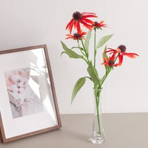 [플라워트리] 에키나세아코움화병set 48cmR 조화 화분 장식 FMFUFT, 색상:화이트A