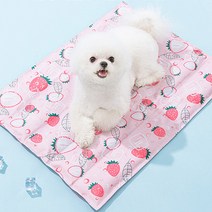 댕댕포유 강아지 고양이 쿨매트, 스트로베리