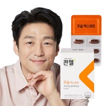 콴첼 우슬 엑스퍼트 1BOX/1개월분, 6박스
