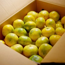 제주 효돈 하우스 감귤 노지 타이백 비가림 고당도 가정용 귤, 대과(L - 2L)/34~42과, 4.5kg, 1개