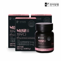 [한미양행] 낙산균을 채우다 17종혼합 유산균 500mgx30정x3박스 (3개월분), 단품, 단품