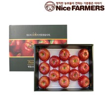 [나이스파머스]청송 꿀사과 선물세트 5kg (14과 내외/대과), 단품