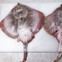 군산창고 - 급냉 군산 간재미 1.4kg