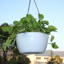 마츠리센 플라스틱 행잉 화분 걸이형 공중걸이 가드닝 바구니, 블루