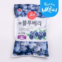 블루베리 1kg 냉동블루베리 주스 과일, [2315-5]냉동블루베리1kg(캐나다)