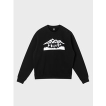 볼컴 FRONT MOUNTAIN 맨투맨(블랙) VA204RM005